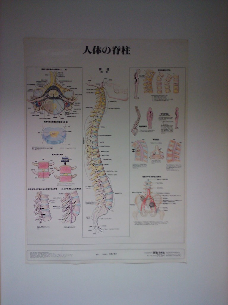 O que é transtornos discais cervicais e outros transtornos discais intervertebrais?