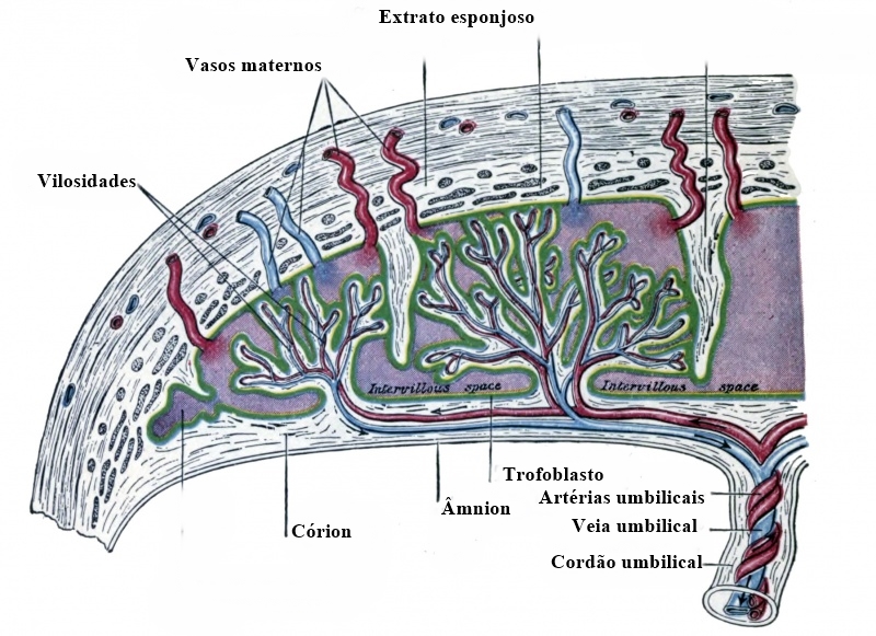 O que é outras doenças das artérias, arteríolas e capilares?