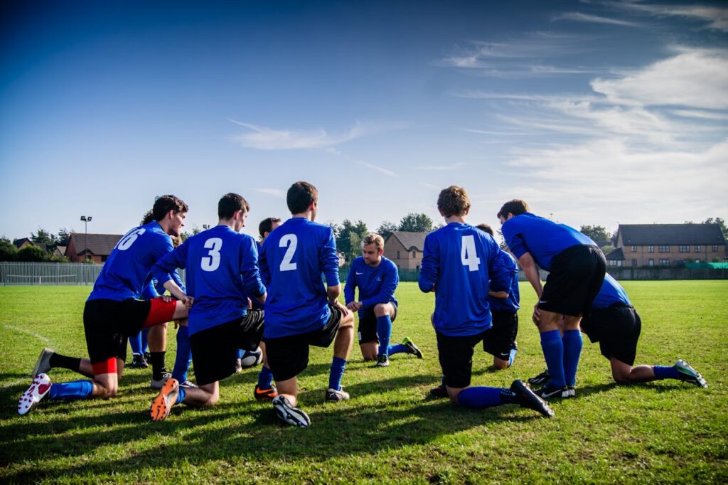 apostas esportivas